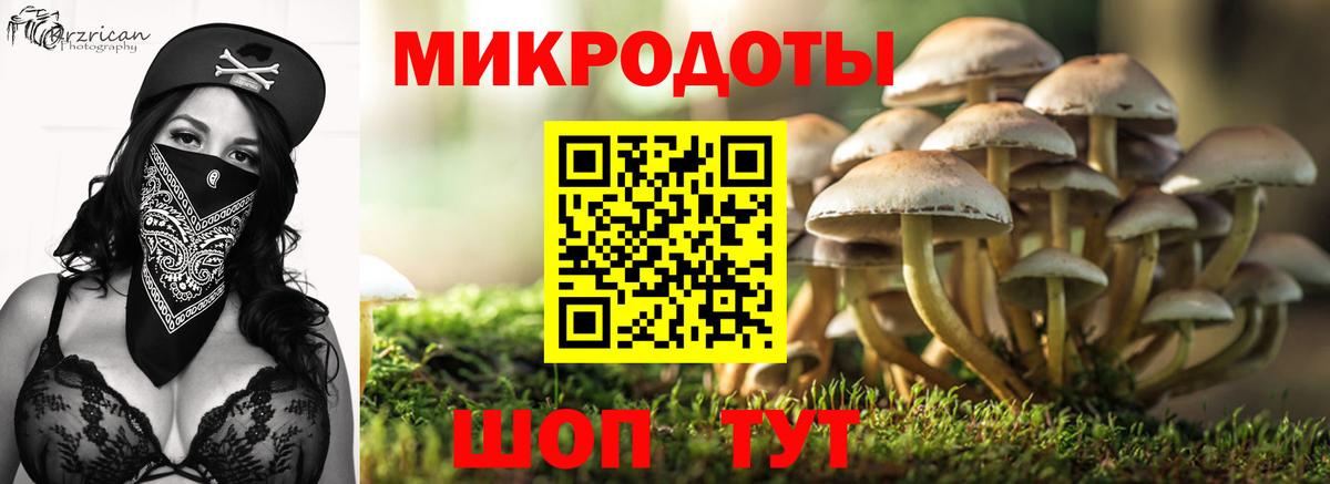 Псилоцибиновые грибы ЛСД Избербаш